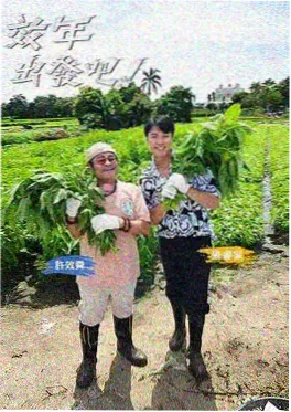 开麦吧编剧 职场竞技综艺